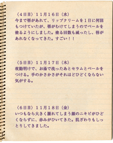 2週間試してリポート 4、5、6日目