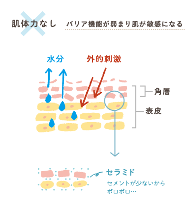 肌体力なし